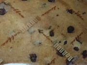 ����������̃h�g�[���R�[�q�[�V���b�v �V���w�O�X�̓��e�ʐ^1