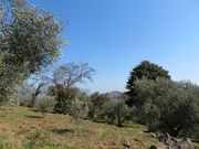 �L������̋����I���[�u���̃I���[�u�̓��e�ʐ^1