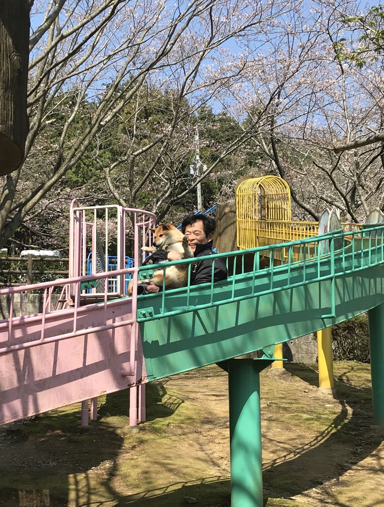 田原市の公園 庭園ランキングtop6 じゃらんnet