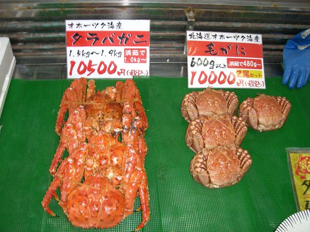 䥃^oƖуKjBǐSIȂliƎv܂B_JlnӐY