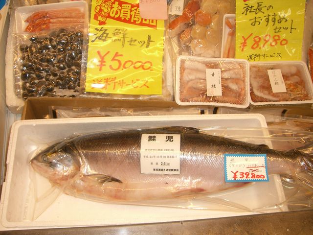 BPCWĂBꖜCɈC̃TPB߂Ɍ܂B_JlnӐY