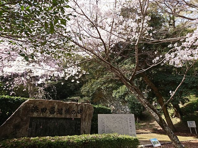 ̓oɂ͌썑_ЂJĂ܂B_lc