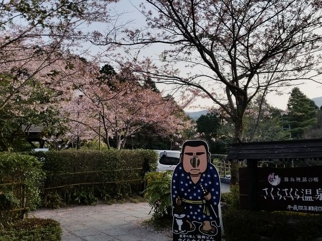 �������J_�����_�{����