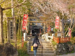 Ƃ˂̌Fቤq_Ђւ̓eʐ^1