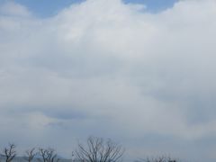 Ă̔i΃zeւ̓eʐ^1