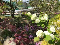 A[`̔_K[f Rr_ւ̓eʐ^1