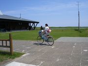 `܂˂̌ԉ^TCN̓eʐ^1