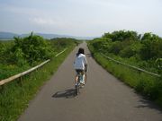 `܂˂̌ԉ^TCN̓eʐ^2