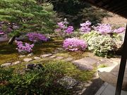 ÂȂ܂܂ɂ̒{뉀̓eʐ^2