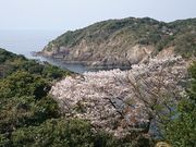 ÂȂ܂܂ɂ̕lcՂ̓eʐ^1