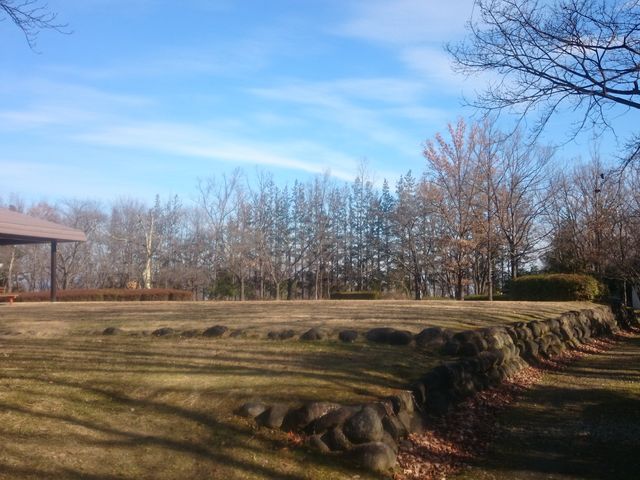 ���΍L��_���Âܑ����^������