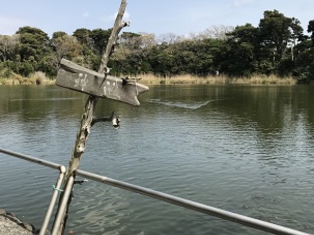 �_�r�ł��B����͊C�Ɉ͂܂�Ă��܂��B_�吣�_��