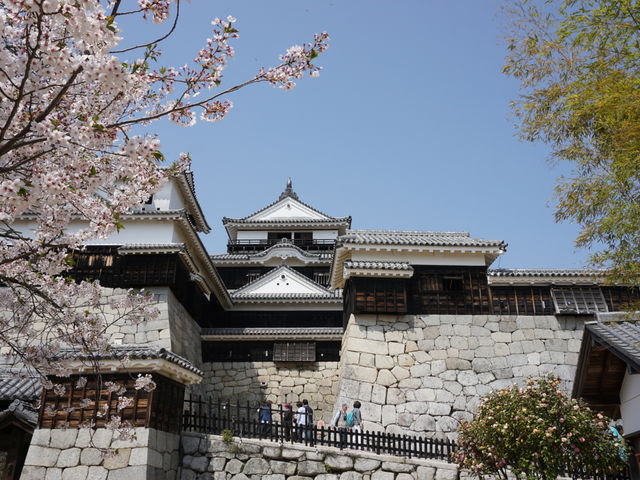 ���R��̍�