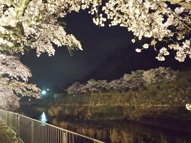 ͐쉈łAHɂ؂܂B_{쑁@