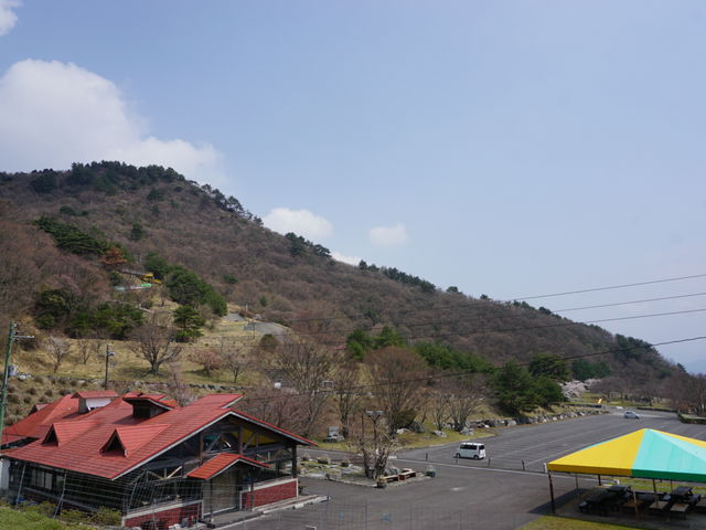 ���g����