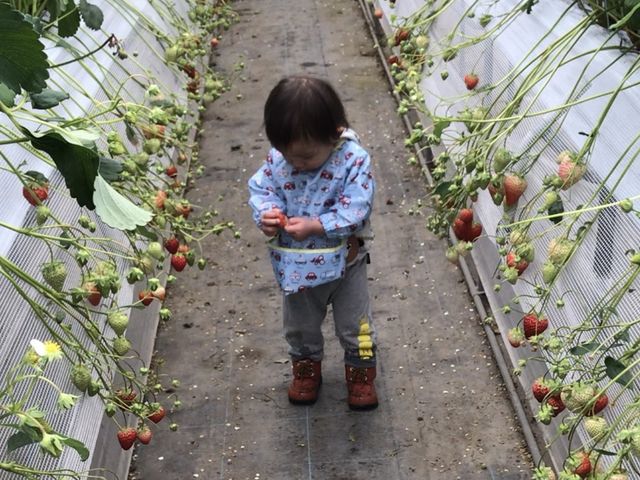 �y�������ł����B_�A�N�g�������t�@�[��