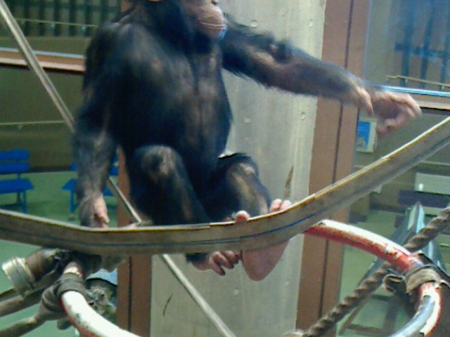 IE[^_R OXe[Wt@[Xgt[h