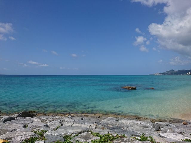 21���I�̐X�r�[�`_21���I�̐X�r�[�`