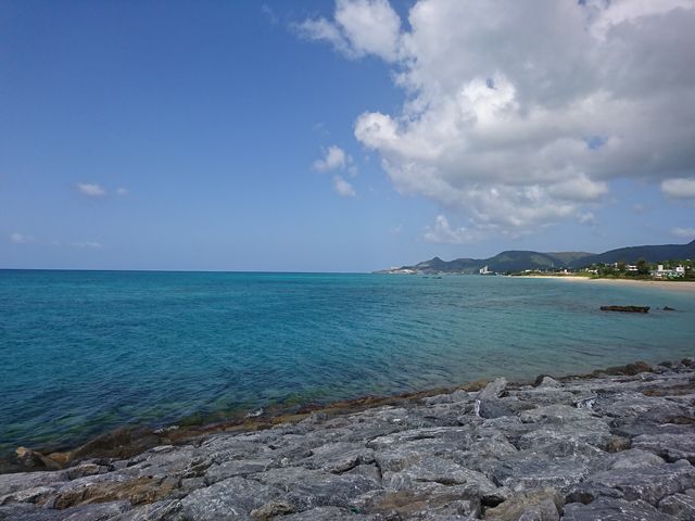 21���I�̐X�r�[�`_21���I�̐X�r�[�`