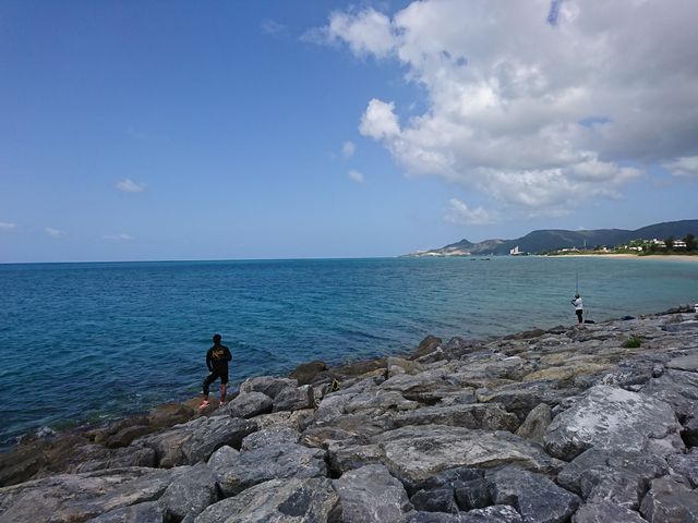 21���I�̐X�r�[�`_21���I�̐X�r�[�`