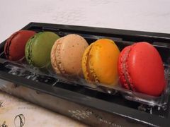 ܂̃JYm@CP_@AfBBfGւ̓eʐ^1