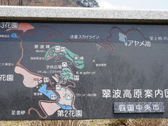 �J���`��������̐��g�����ւ̓��e�ʐ^2