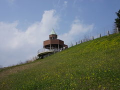 �J���`��������̐��g�����ւ̓��e�ʐ^3