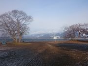 ꂨ񂳂̓V_lΐ̓eʐ^6