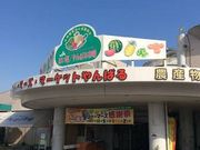 ĩt@[}[Y}[Pbg΂̓eʐ^1