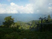 ɂǂ񂳂̑RxXL[̓eʐ^3