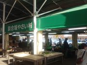 ꂨ񂳂EXPASAkT[rXGA()̓eʐ^5