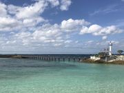 monkeyDiver̂o`my`̓eʐ^1