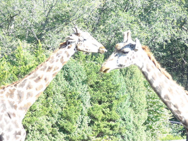 �L����_�~�R������