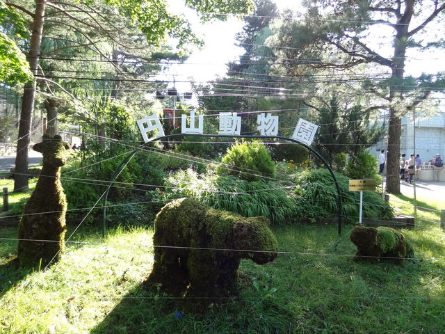 �i��_�~�R������