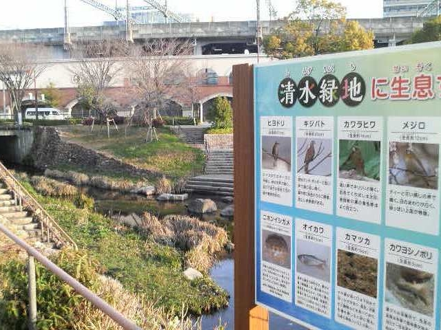 qhȂǂ̖쒹JEȂǂFXĂ悤ł_Βn