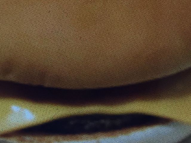 `[Yo[K[́A130~_}Nhih֖ړX