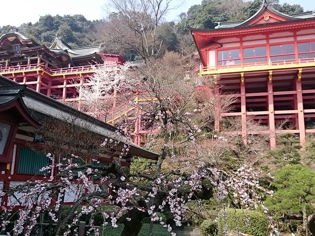 �{�a�ƍ��̖�_�S����א_�Ђ̍�