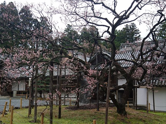 �痴�~�́y�g�~�z_���ގ��̉痴�~