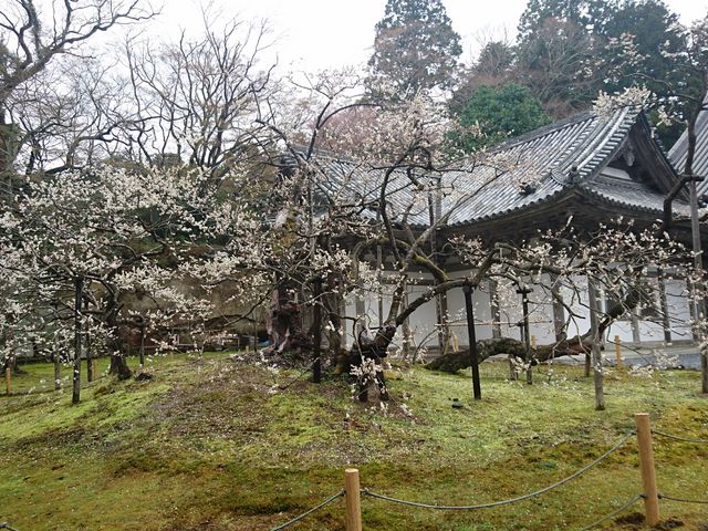 �痴�~�́y���~�z_���ގ��̉痴�~