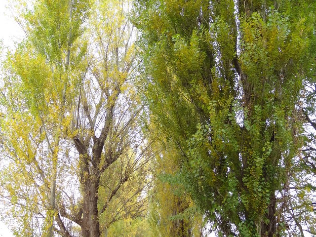 �i��_�k��|�v������