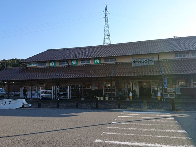 ủwTsRvɂ܂B_单H