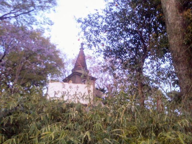 �w���啧�x�B_���啧