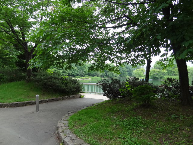 �i��_��������