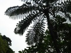 ܂邳̃tB[hlC`[Ί_ւ̓eʐ^1