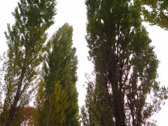 䂤񂳂̖k|v؂ւ̓eʐ^1