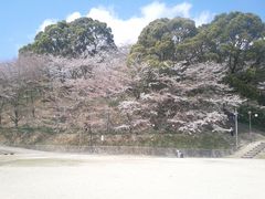 hakata1008̑叫wւ̓eʐ^1