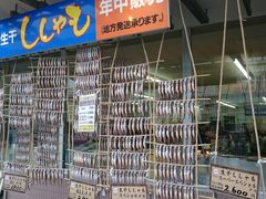 �䂤����񂳂�̃J�l�_�C��쏤�X�ւ̓��e�ʐ^1