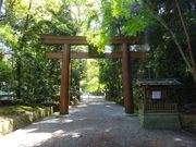 pon����񂳂�̐Ώ�_�{�̓��e�ʐ^1