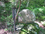 KAZZ̎s썶c̋̓eʐ^1