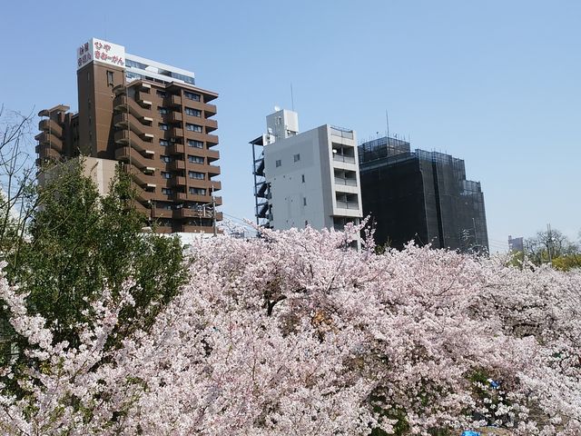 ��_�єn���V�{����